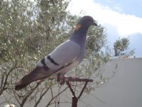 /album/galeria-de-fotos-pagina-inicial/dsc02760-jpg/